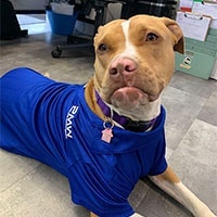 Portland Motor Works Gallery Image